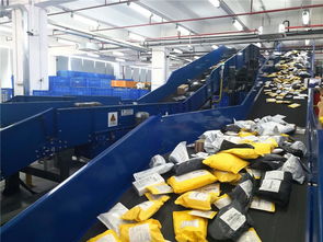 東莞制造乘跨境電商東風，貨物進出口實現跨越式增長